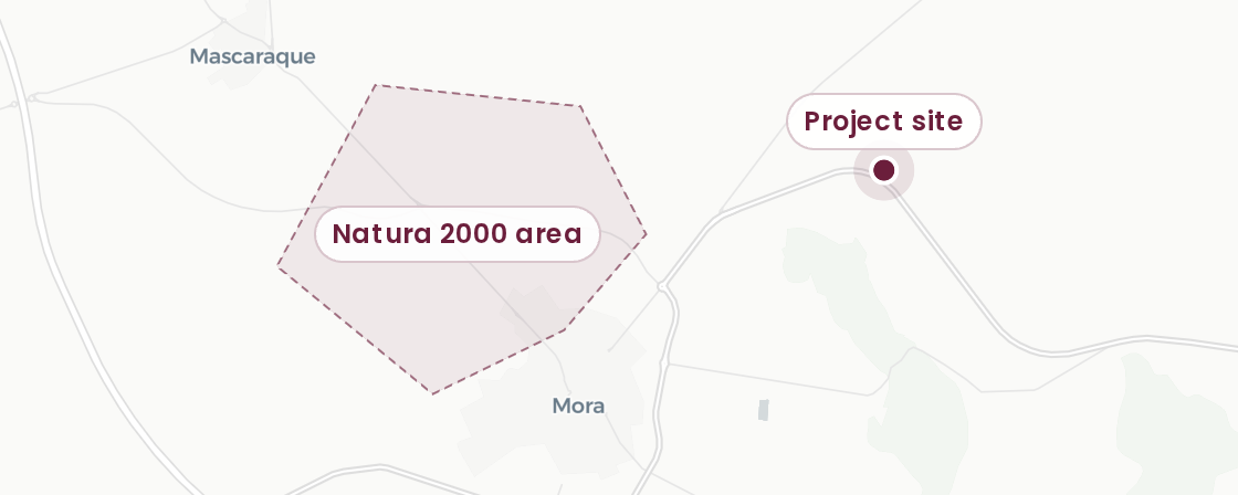 Map of the project site near Mora, Toledo, next to a Natura 2000 protected area